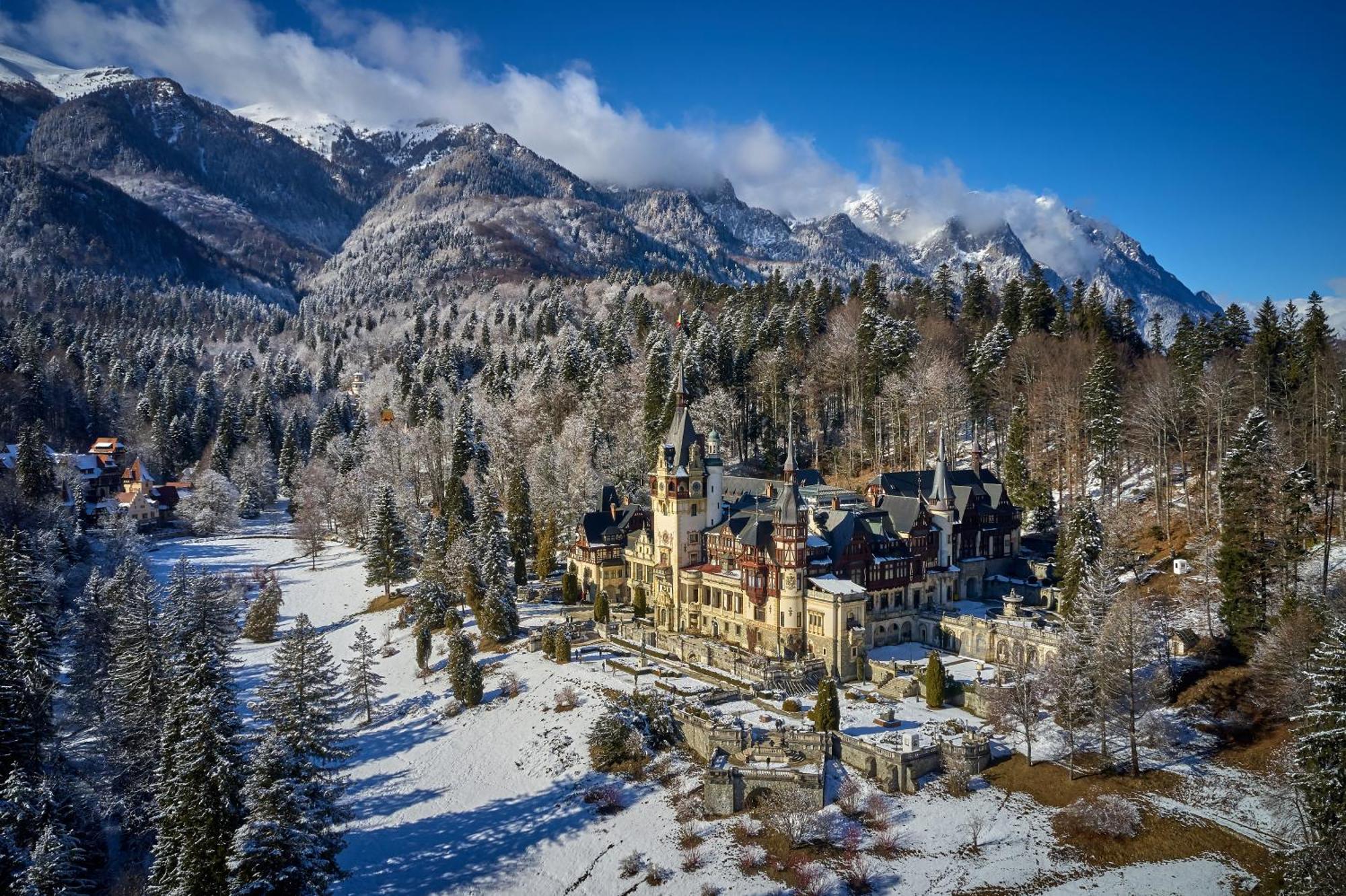 The Cozy Deer Apartment Sinaia Exterior photo